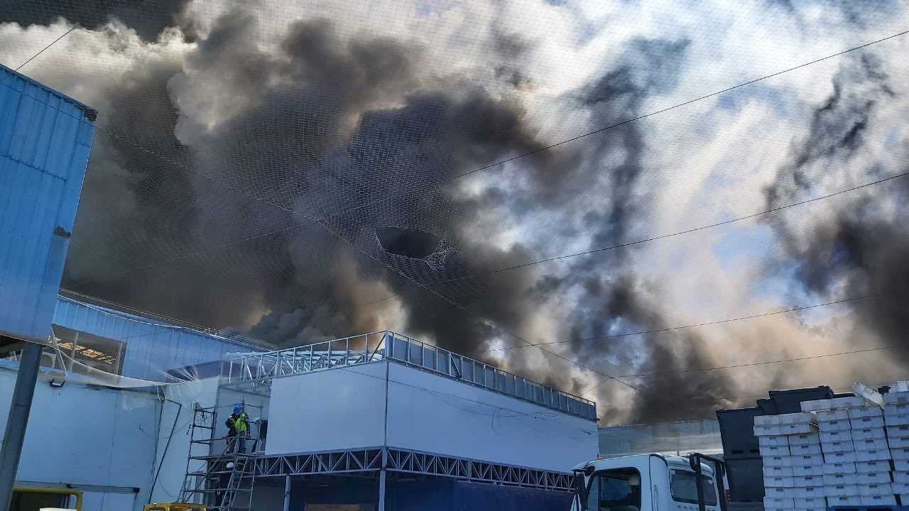 Camanchaca se refiere a incendio que afectó a su planta de Talcahuano