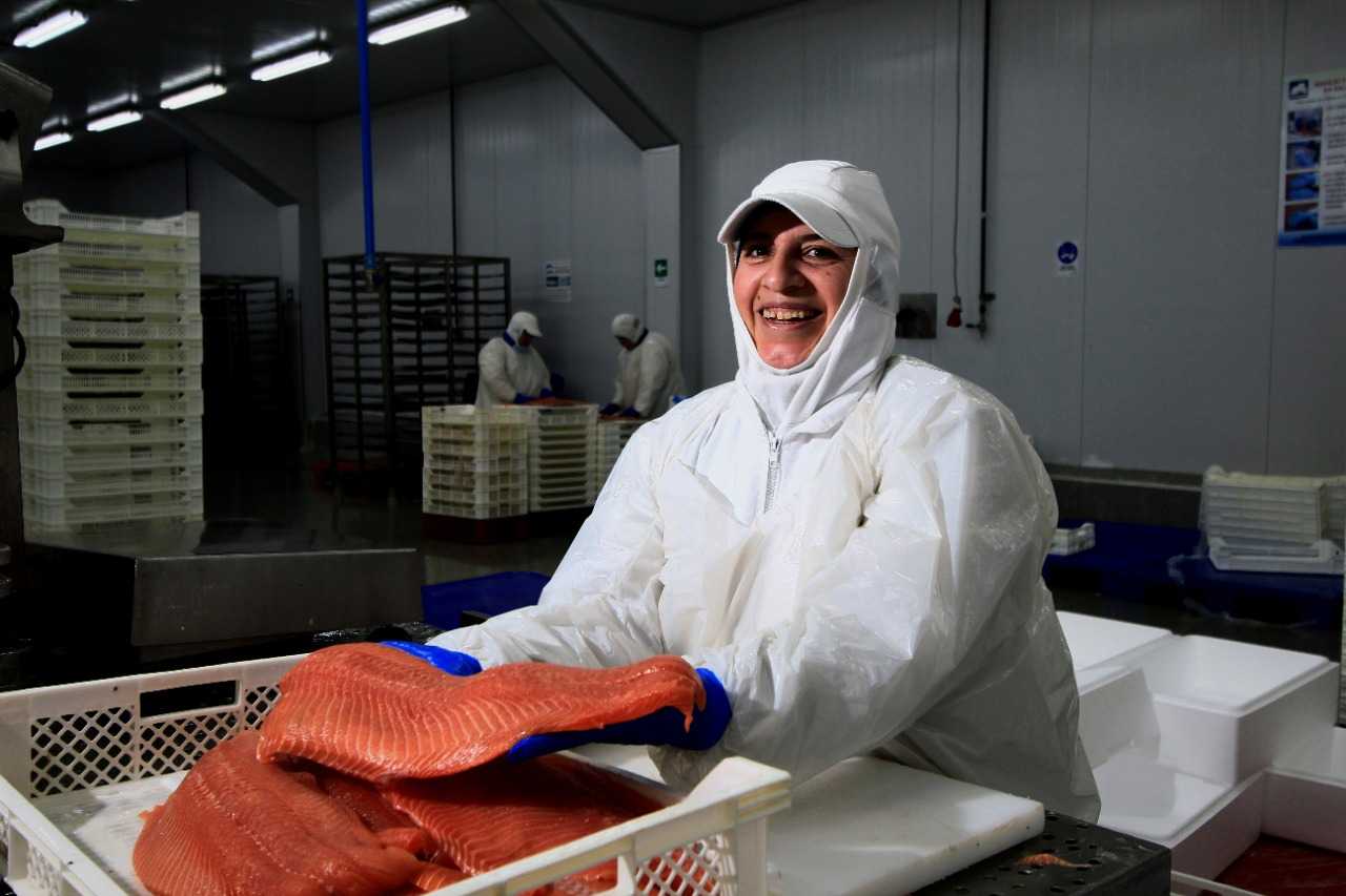 Reactivación: Temporada del salmón coho generará más de 2.200 puestos de trabajo temporales