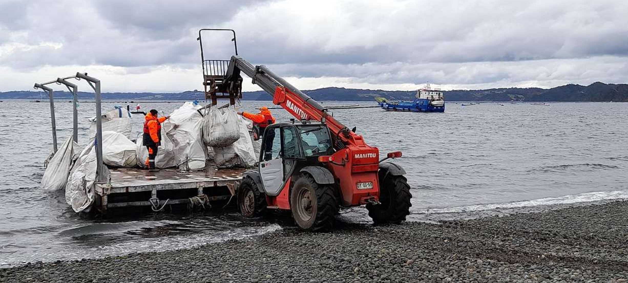 Mitilicultores limpian playas en Dalcahue y Puqueldón