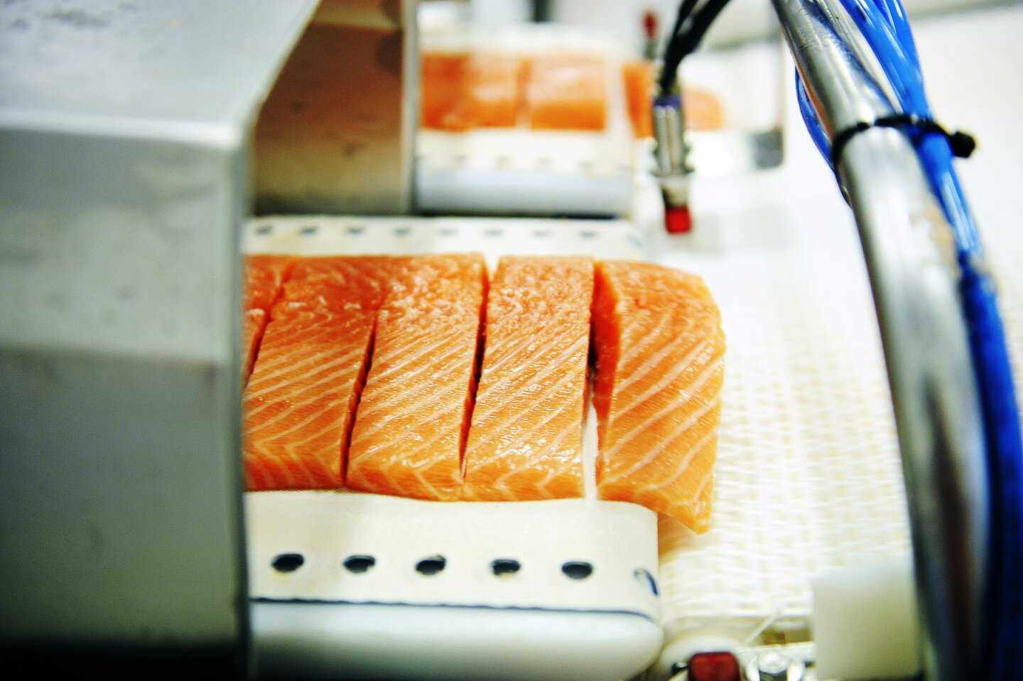 Industria del salmón de Noruega vuelve a reducir su consumo de antibióticos
