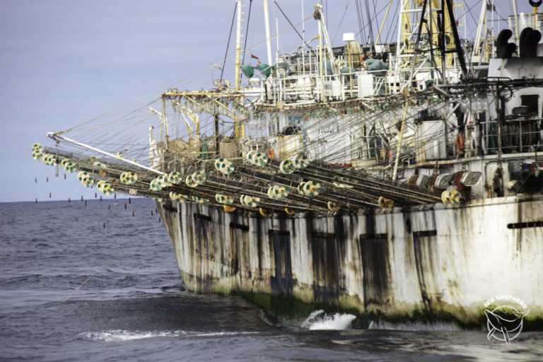Alpescas emite declaración por flota pesquera china