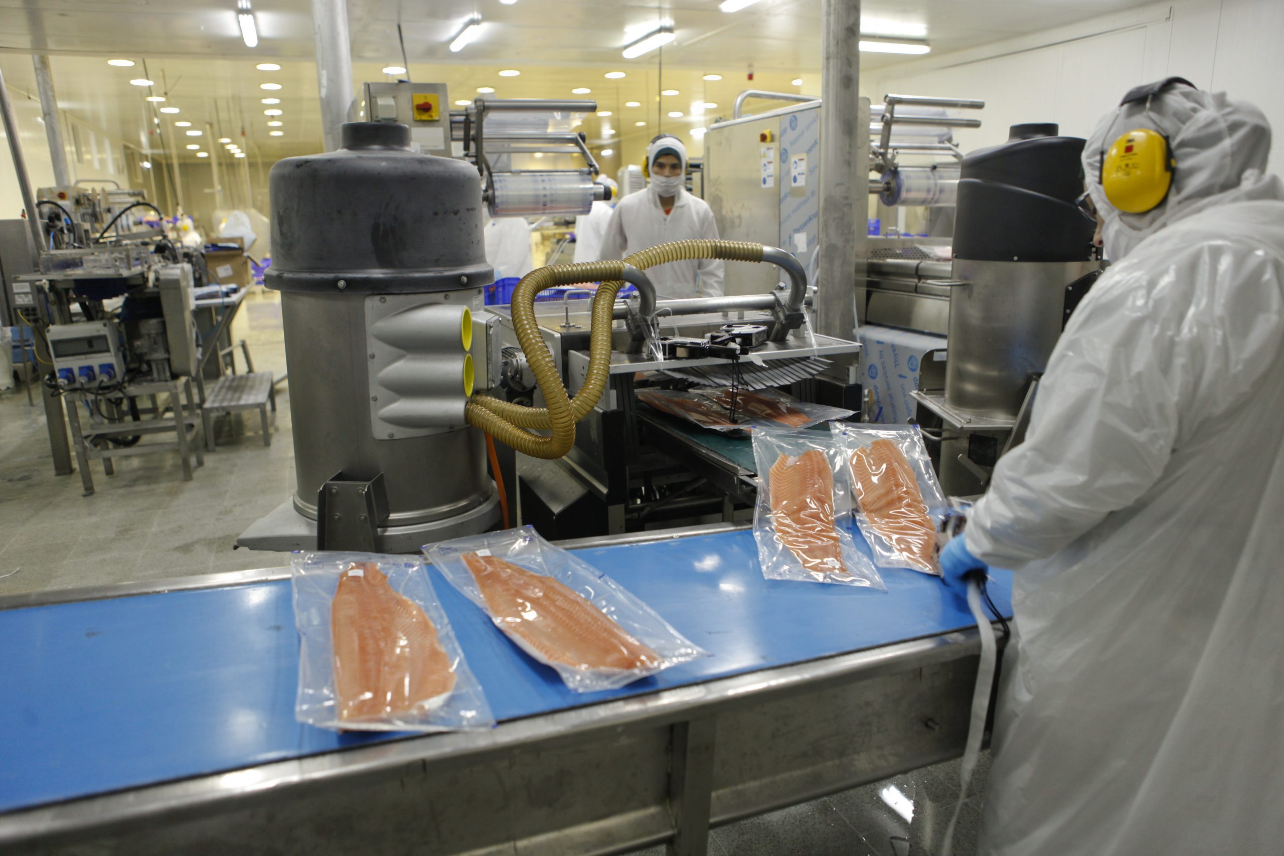 Salmonicultura: El rol clave de los prevencionistas de riesgos durante la pandemia