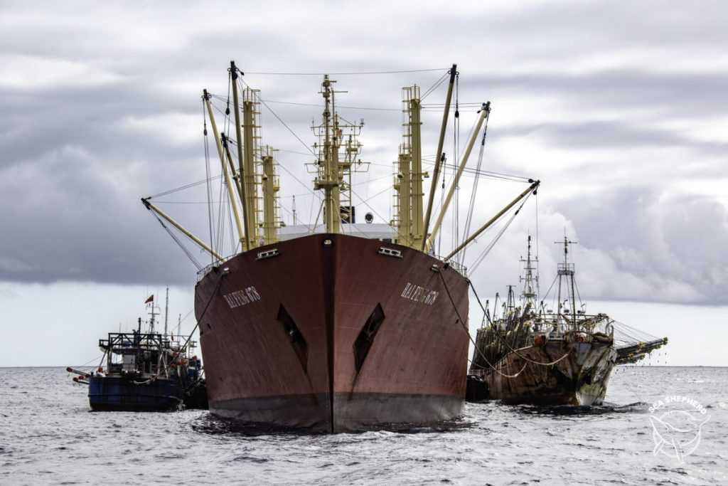 Para hacer frente a la pesca ilegal: Comisión de Intereses Marítimos y Cancillería trabajarán documento ordenador