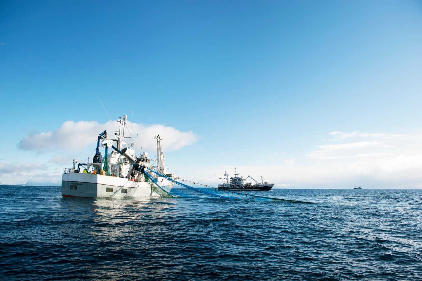 Exportaciones de productos del mar de Noruega se mantienen en buen nivel pese a disminución en septiembre