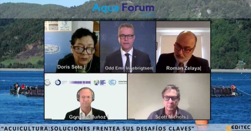 Primera jornada de AquaForum Puerto Montt: Tendencias mundiales para una acuicultura sustentable
