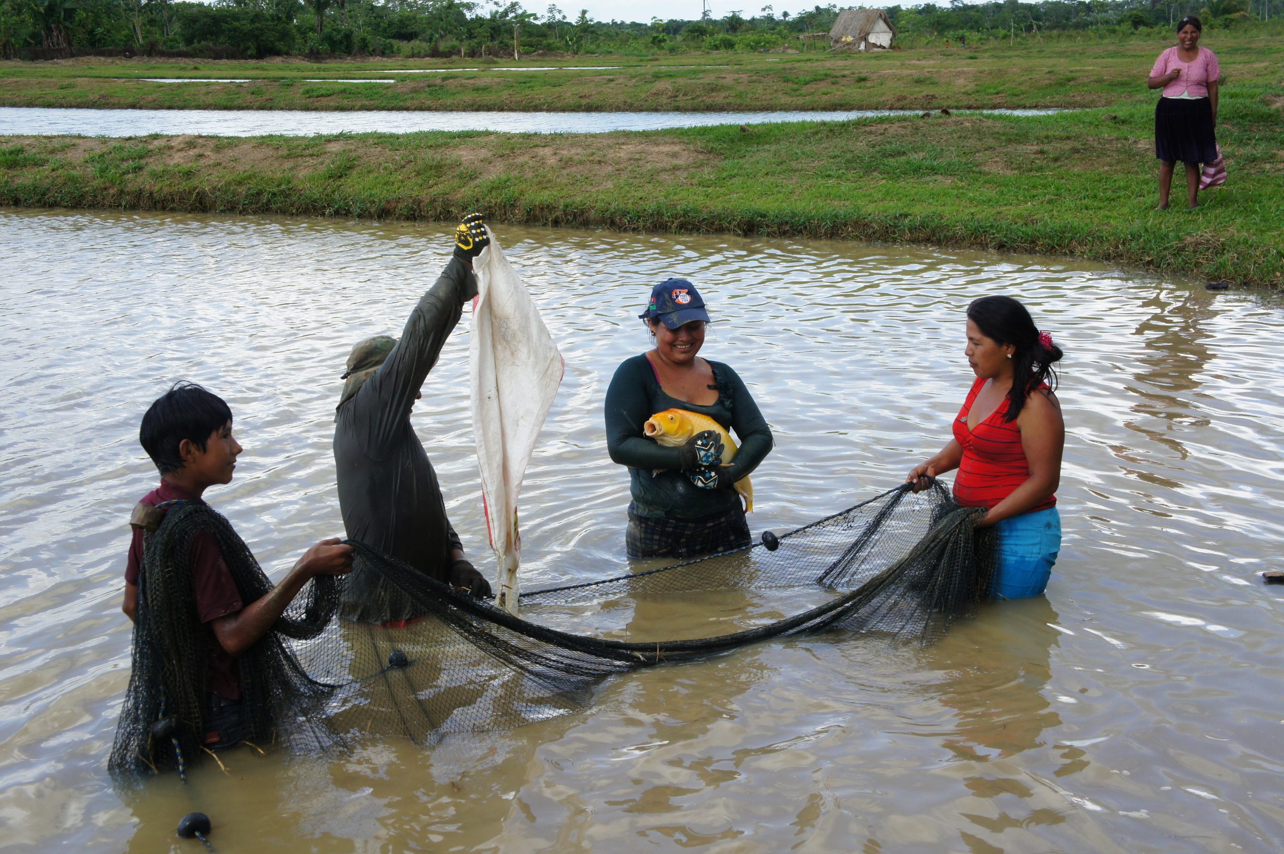 «La Hora Acuícola» regresa con panel sobre situación de la acuicultura en América Latina y el Caribe