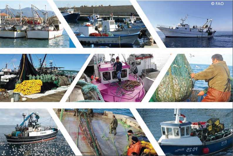 [+DOCUMENTOS] Revisan el desempeño tecnoeconómico de las principales flotas pesqueras del mundo