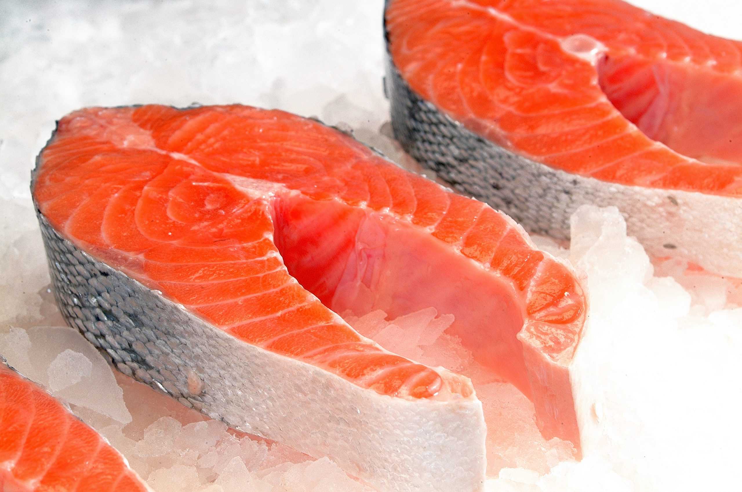 Salmofood invita a su primer Conecta: “Eficiencia productiva en salmonicultura”