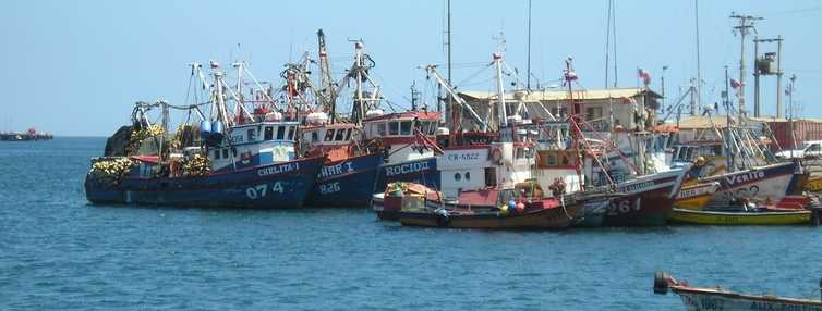 Subpesca participa en plan para reutilizar desperdicios en caletas pesqueras