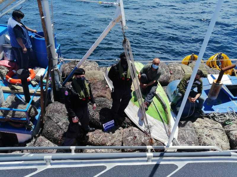 Aysén: Armada incautó diez toneladas de luga roja