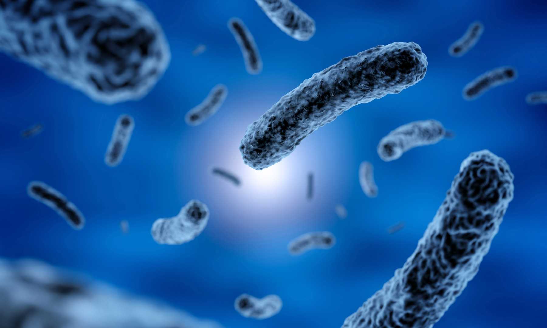 Con exposición sobre patógenos en cultivos acuícolas concluyeron los XVII Coloquios de Microbiología