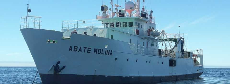 En Chile: «Abate Molina» comienza el 2021 investigando la anchoveta y la sardina común