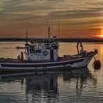 Ley de Pesca: Sociedad Chilena de Ciencias del Mar analiza propuesta
