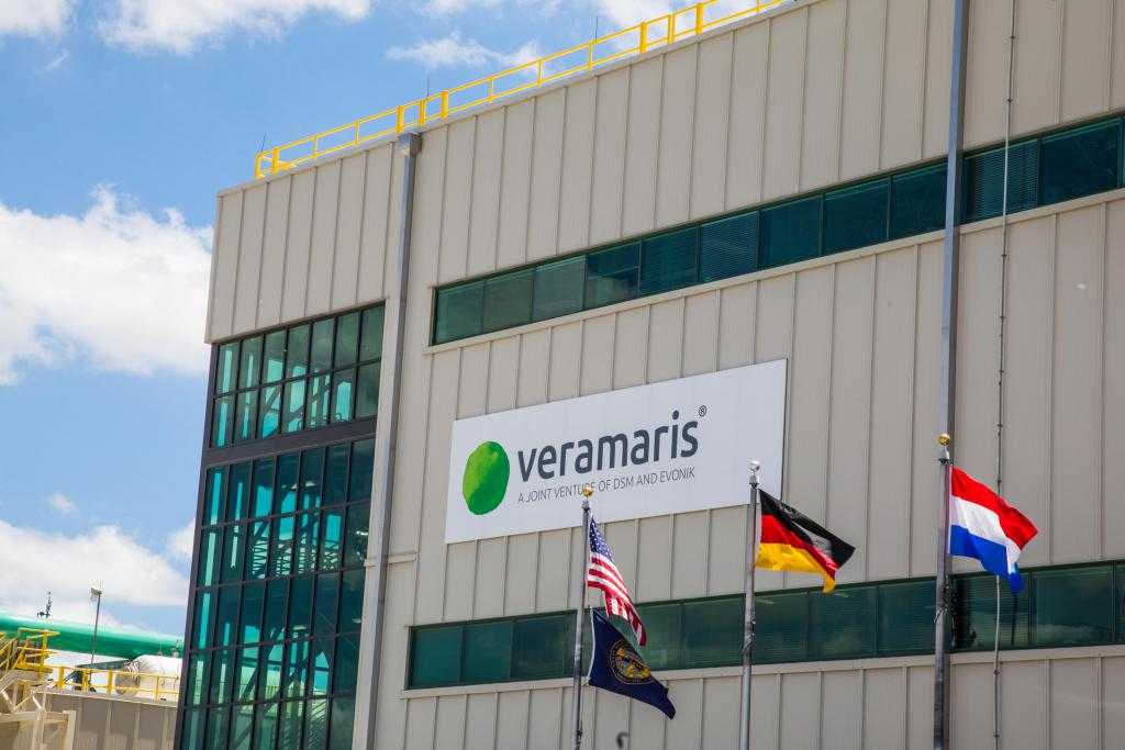 Nutrición: Veramaris se convierte en el primer productor de microalgas certificado por ASC-MSC