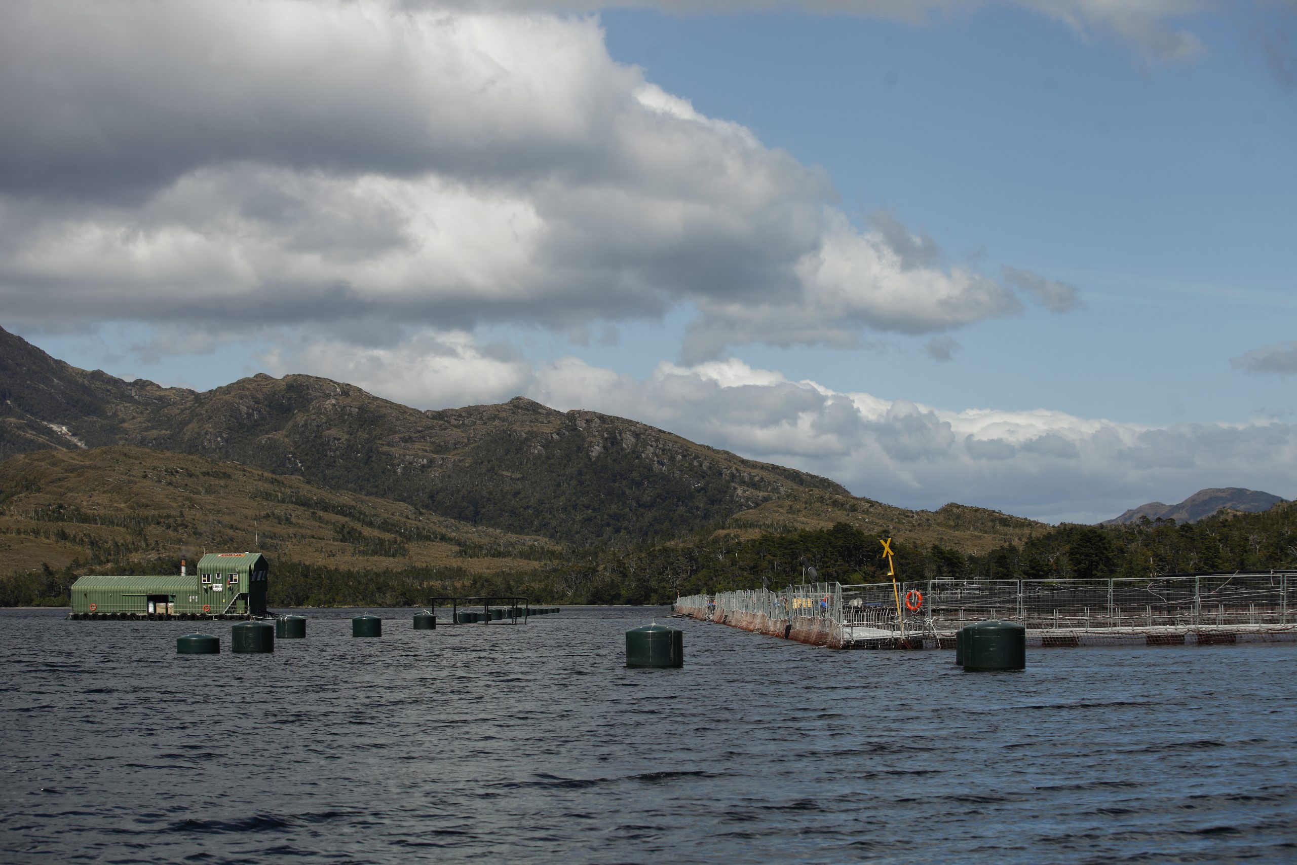 Tribunal Ambiental de Valdivia anuló RCA de centro de cultivo de salmones en Seno Taraba