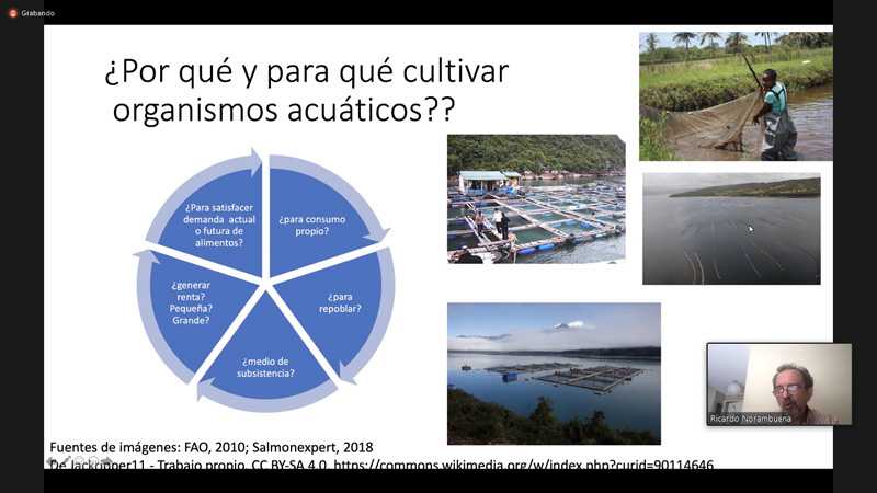 UdeC: Biólogo marino dictó charla sobre los desafíos y oportunidades de la acuicultura en Chile