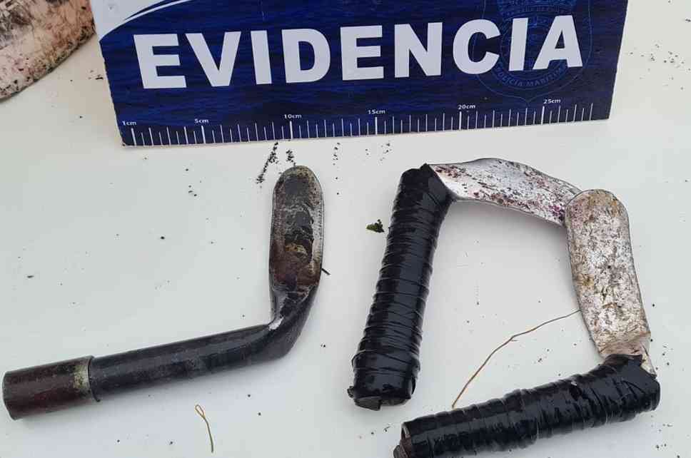 Chiloé: Tres sujetos son detenidos por robar locos en área de manejo