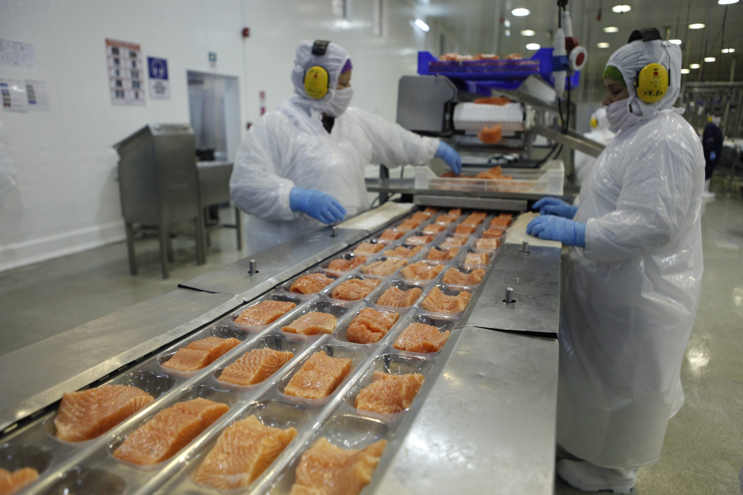 Rusia levanta restricción a exportadores chilenos de salmón