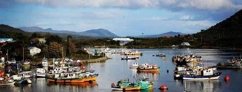 Invitan a pescadoras y pescadores de Aysén a ser parte de Caleta en Línea