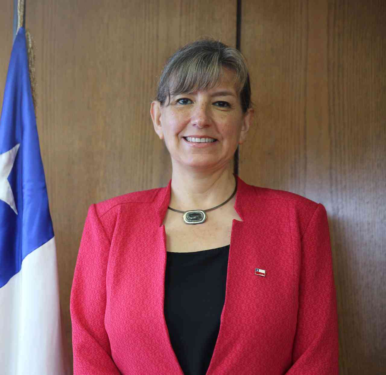 Alicia  Gallardo Lagno
