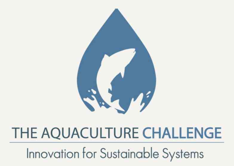 Convocan a emprendedores chilenos a impactar la acuicultura mundial