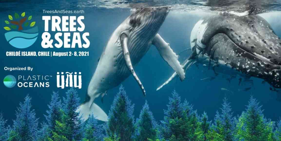 En Chile: Plastic Oceans International y ÜÑÜ anuncian festival Trees & Seas