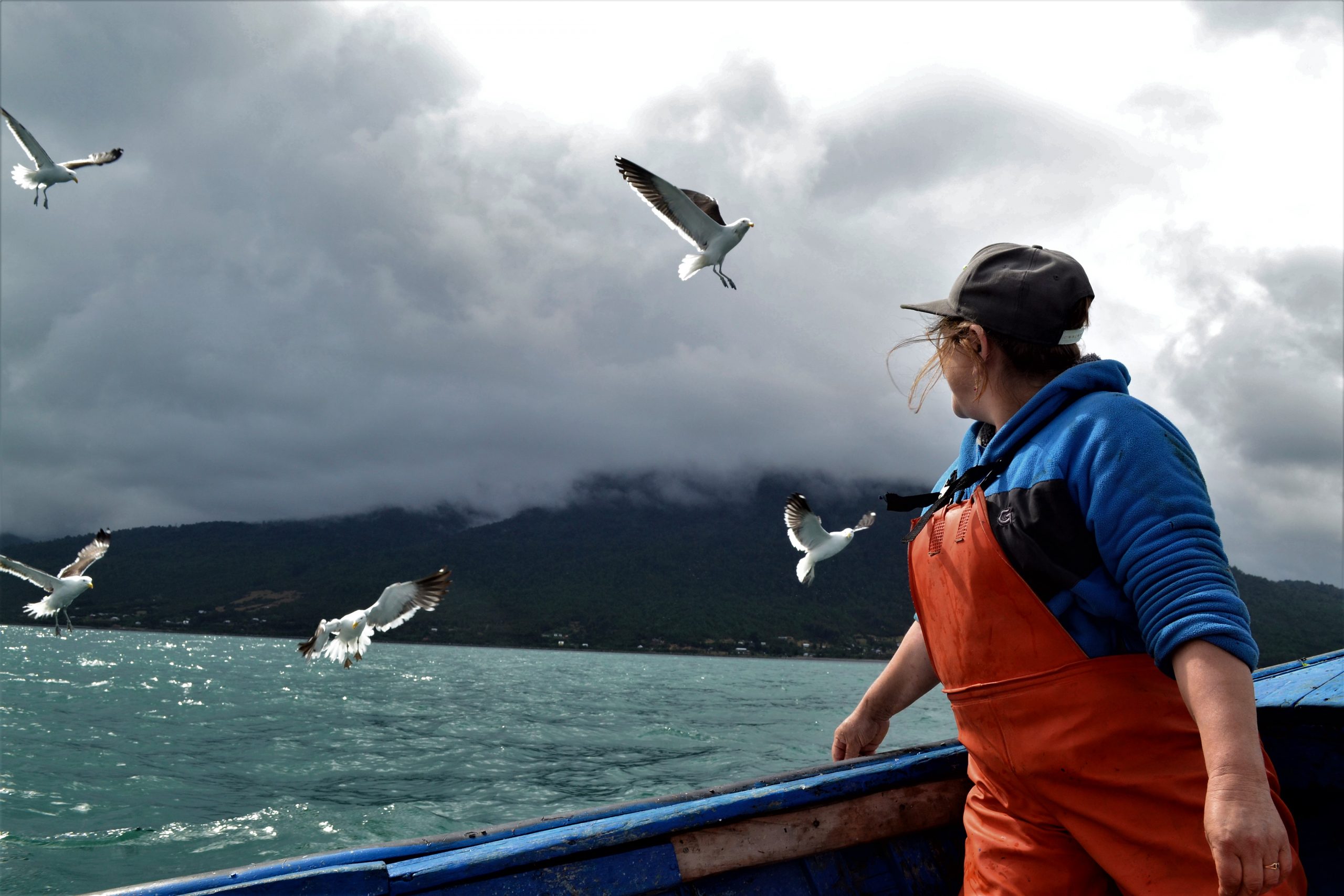 CAPES: Investigadores lanzan libro sobre mujeres pescadoras de Chile