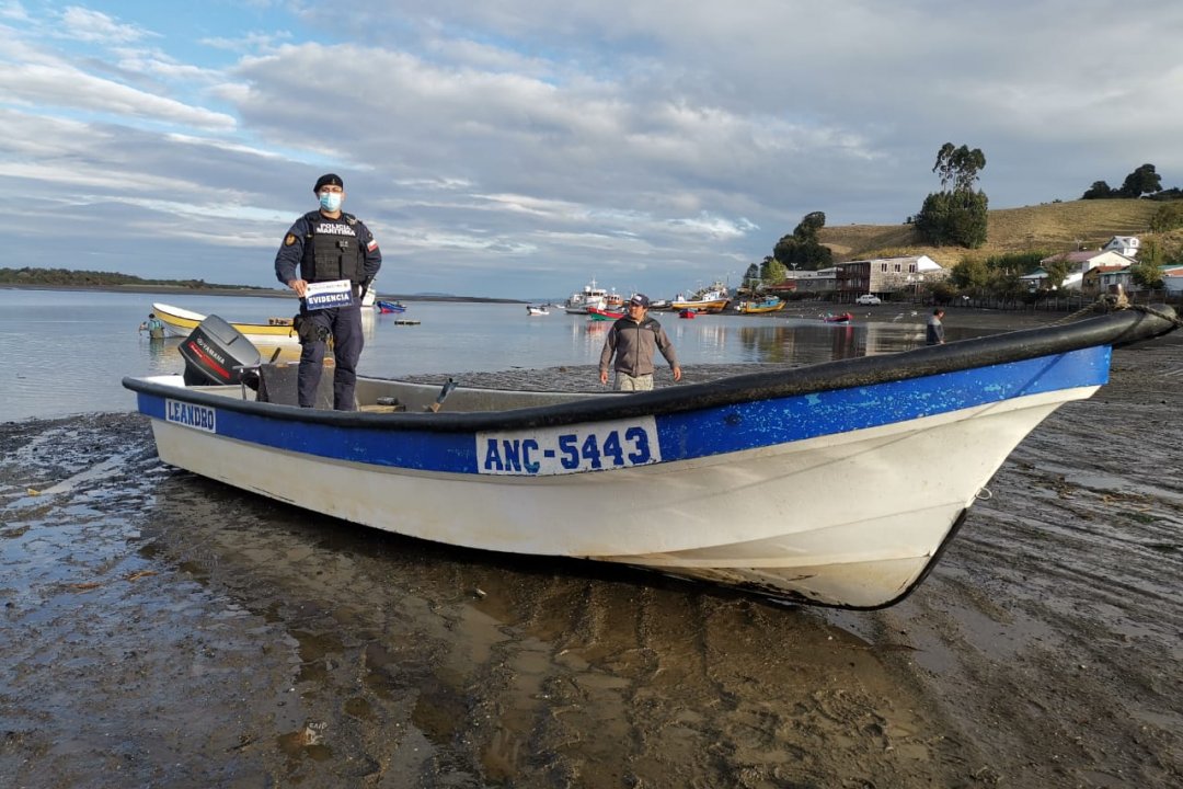 En Chiloé: La Armada detiene a tres personas por extracción de locos