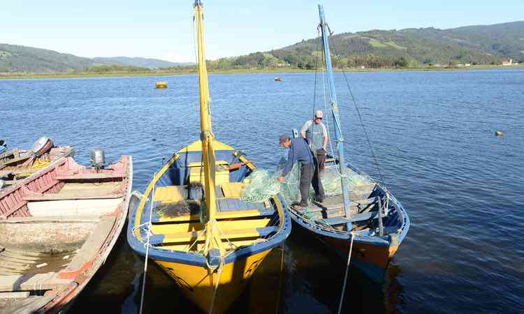 Se publica ley que permite a pescadores capturar remanentes de cuotas