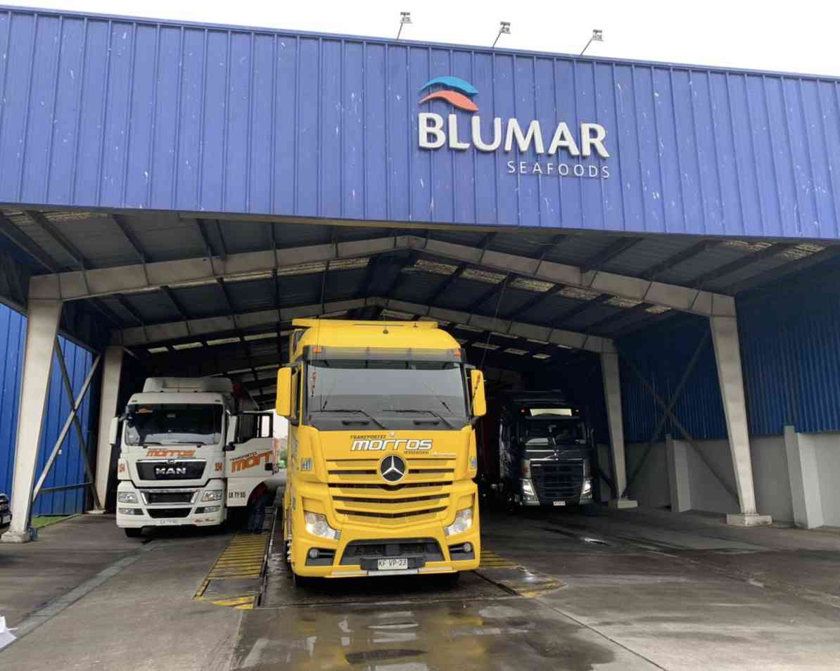 Blumar realiza exitosa exportación a través de la plataforma Siscomex