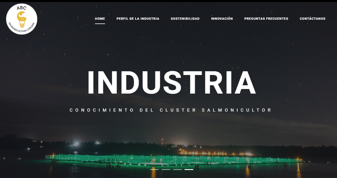 ABC de la Salmonicultura: Club Innovación Acuícola lanza sitio web informativo