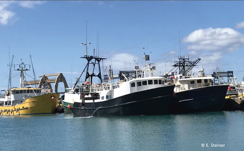 Analizan los rendimientos técnicos y económicos de las principales flotas pesqueras del mundo