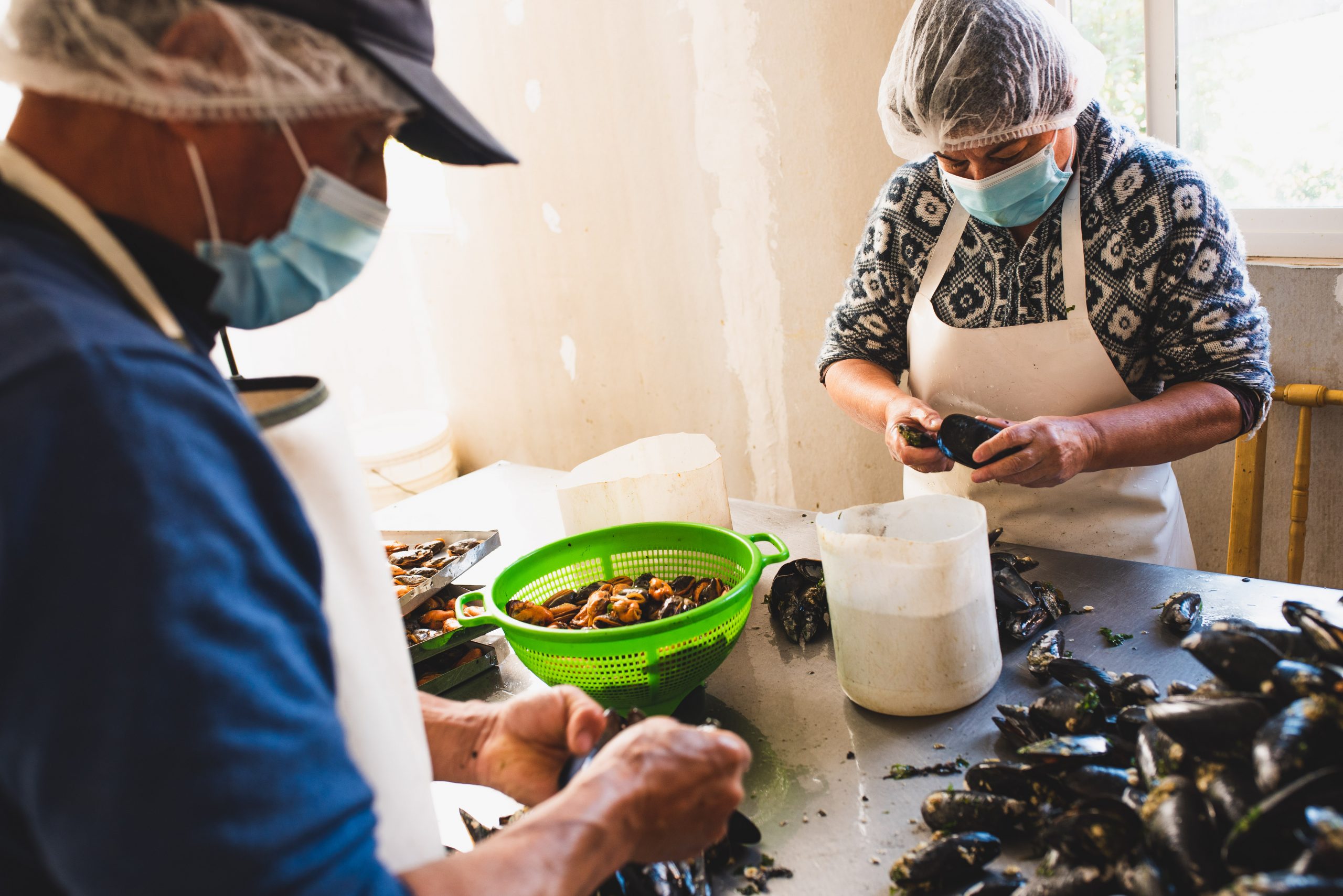 En Los Ríos: Diagnóstico a emprendedoras y emprendedores de la pesca
