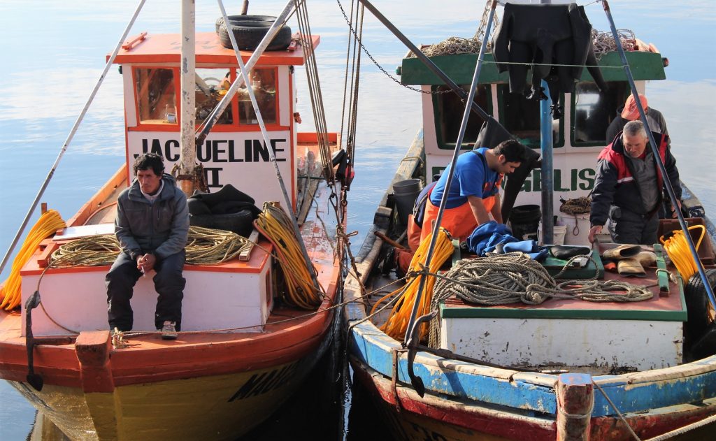 Fundación Chinquihue amplía plazo para que pescadoras y pescadores postulen a integrar su directorio