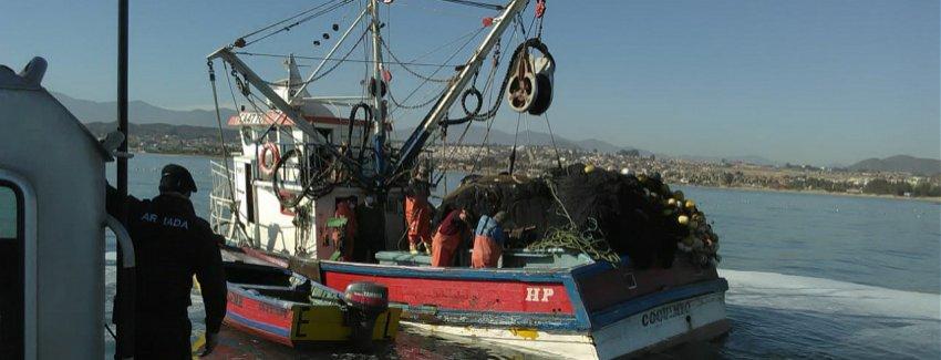 Incautan más de 15 toneladas de anchoveta en Coquimbo