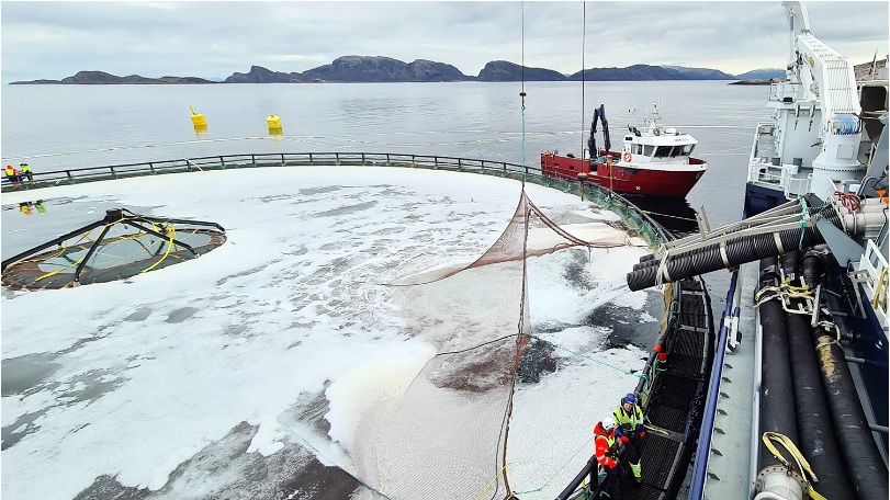 [+FOTOS] Noruega: Vuelven a sembrar salmones en el proyecto Atlantis