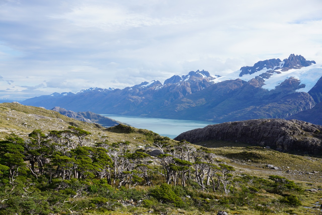 Patagonia chilena: Organizaciones piden que nueva Constitución consagre la protección de la naturaleza