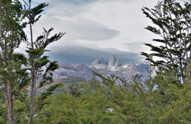 Organizaciones piden que la nueva Constitución consagre la protección de la naturaleza y reconozca el valor ambiental de la Patagonia (foto Alejandra Sáenz)2