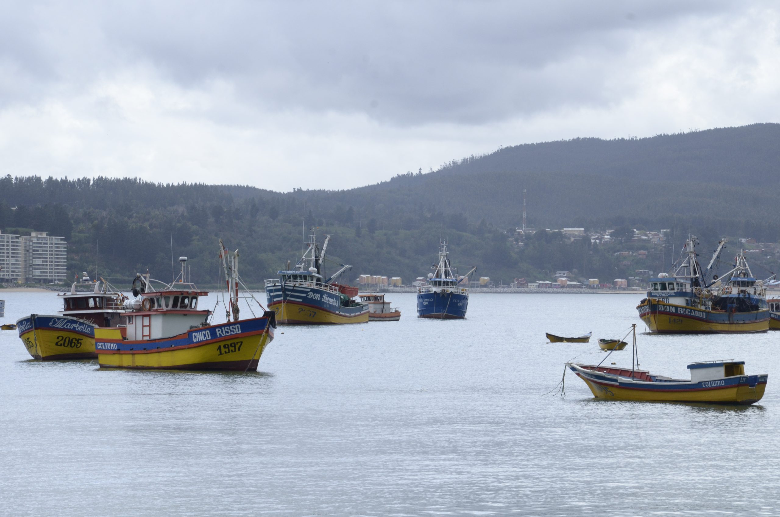 SECOS: Las claves para avanzar en el enfoque ecosistémico de la pesca en Chile