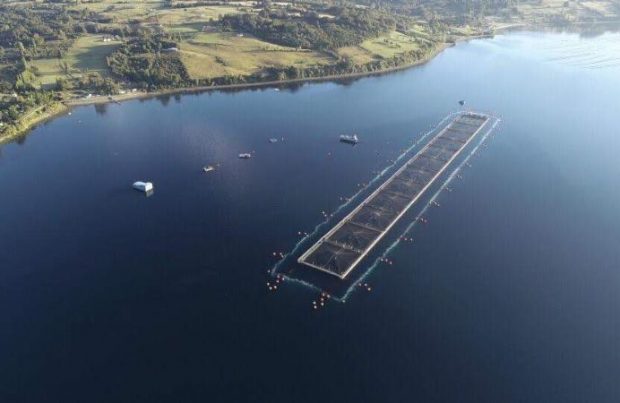 Empresas chilenas firman contrato con el Estado irlandés para instalar barreras de microburbujas en centros de cultivo de salmón (foto LOWO2)