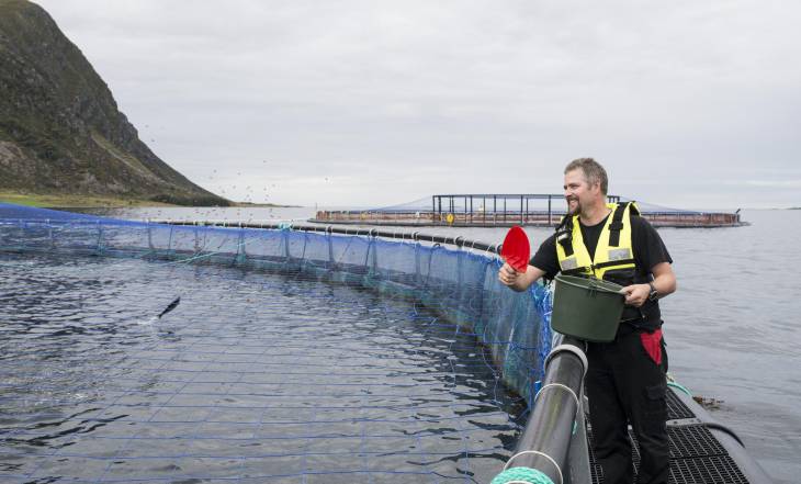 Financiarán innovadores proyectos de alimento sostenible para el salmón