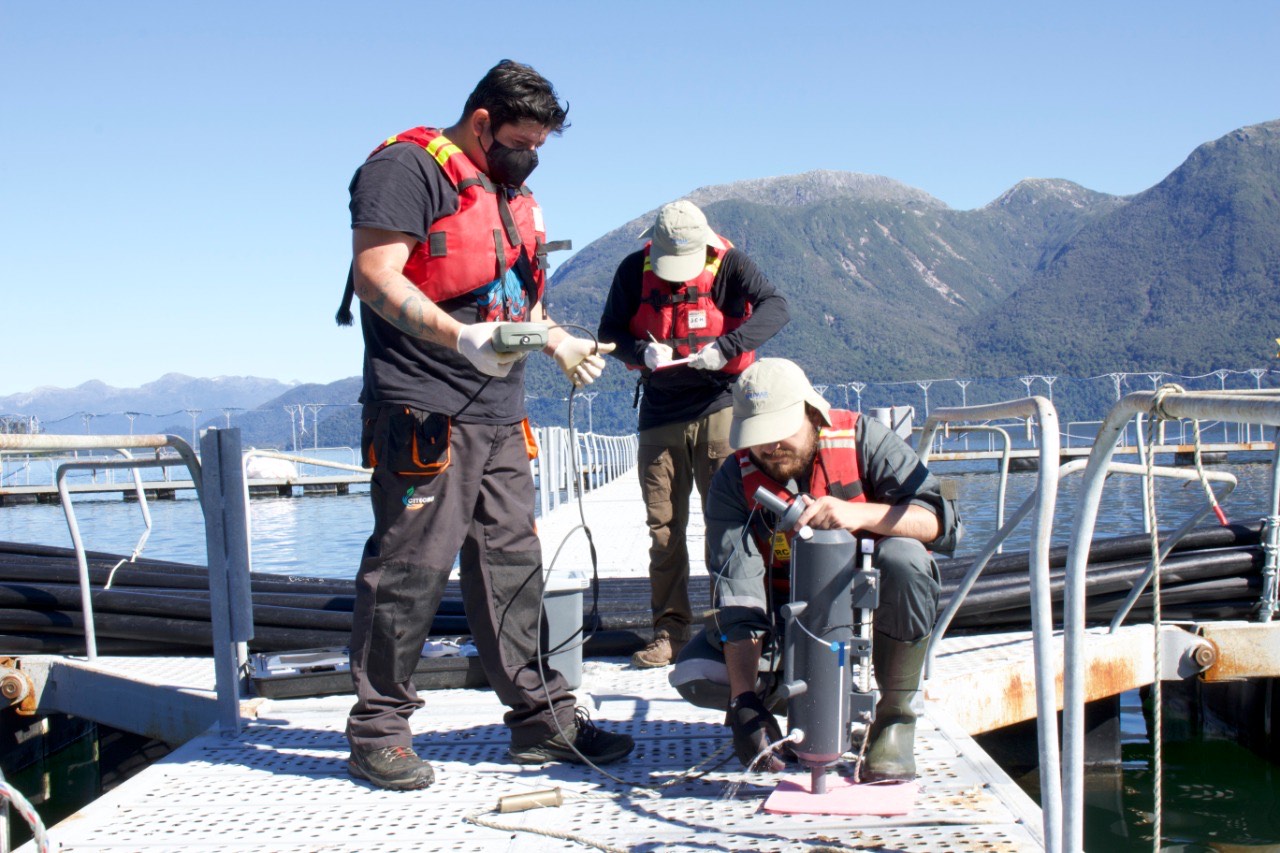 Los detalles del proyecto de acuicultura multitrófica integrada que SalmonChile impulsa en Aysén