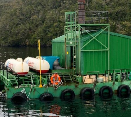 Fiscalizan centros de cultivo de salmón en Magallanes (foto: Armada de Chile)