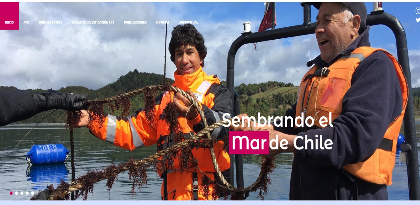 «Sembrando el Mar»: IFOP lanza una nueva página web