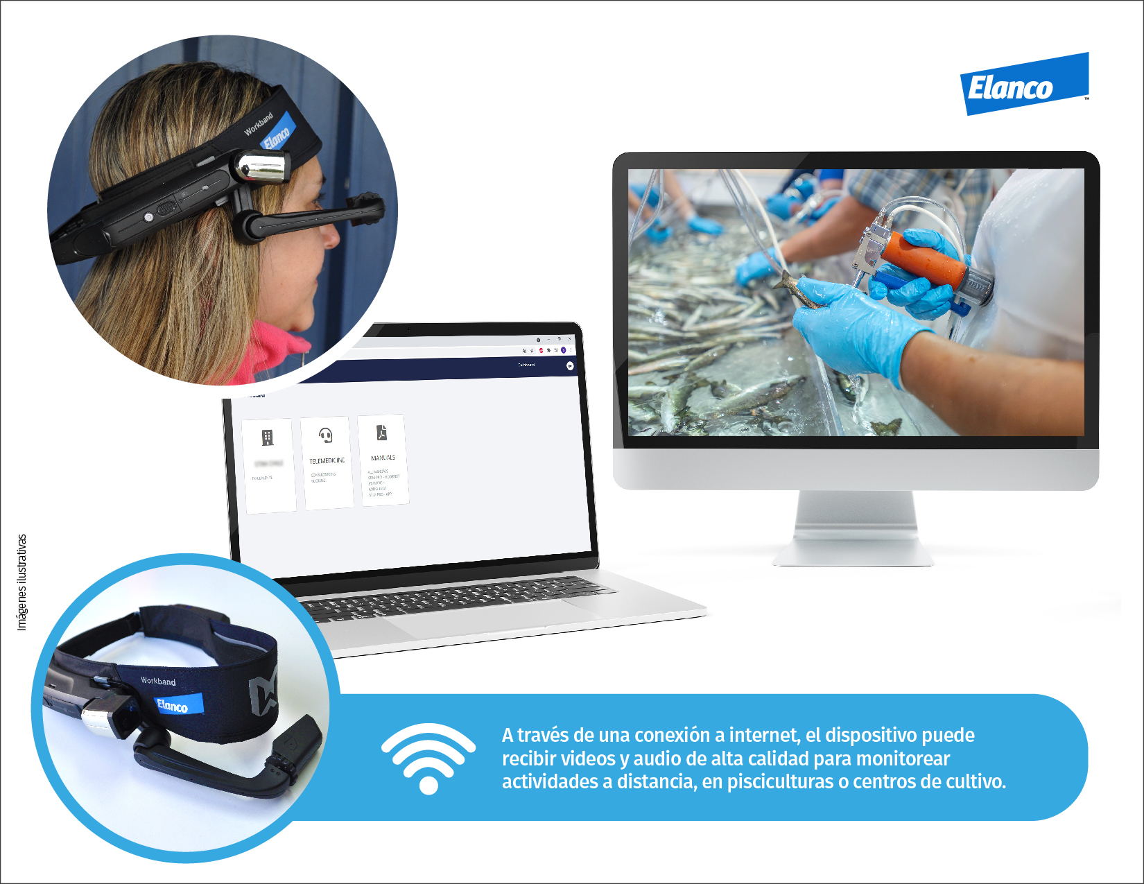 Innovación: Elanco ofrece a sus clientes equipos de telemedicina