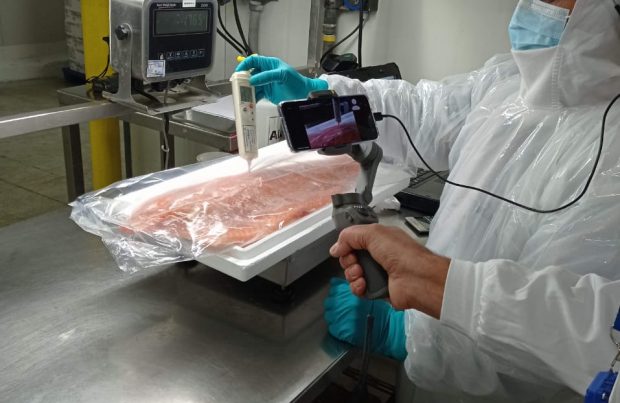Vía remota: Autoridad rusa inspeccionó planta de proceso de salmones (foto: Sernapesca)