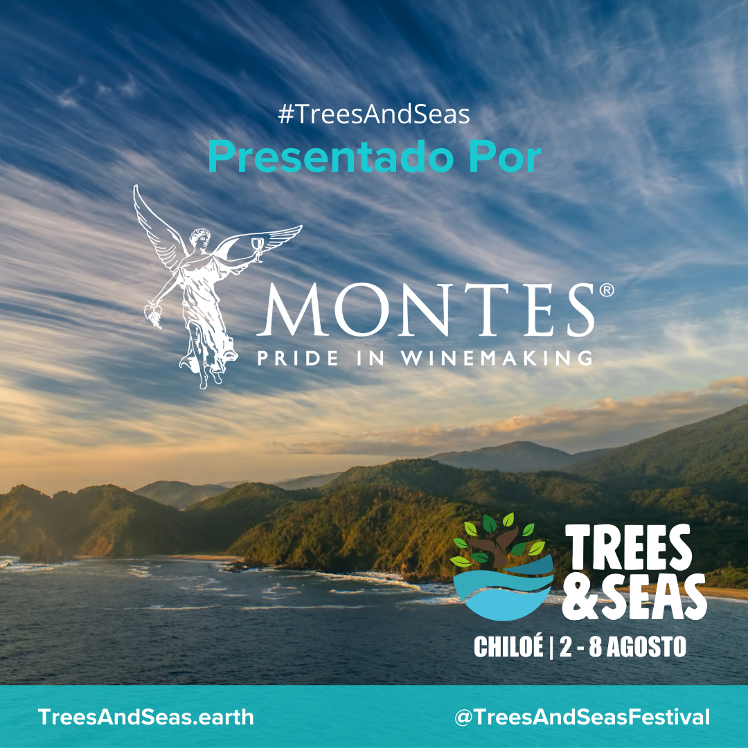 “Trees and Seas Festival”: Iniciativa que busca descontaminar mares y bosques suma nuevo apoyo