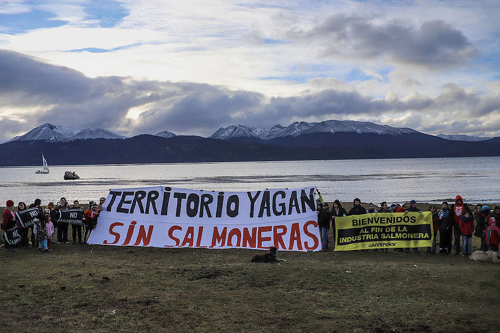 Argentina prohíbe la producción de salmónidos en Tierra del Fuego