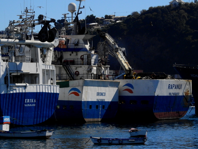 Embarcados se declaran en «alerta» ante proyecto del Gobierno sobre cambios en el cabotaje
