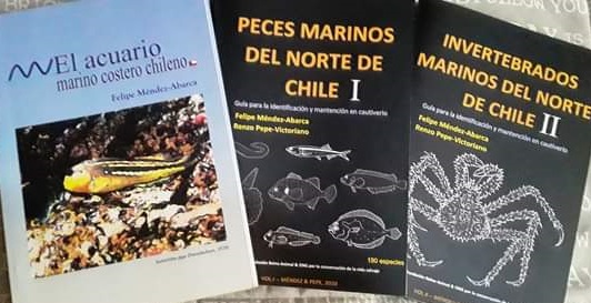 Biólogo lanzó dos nuevos libros sobre peces e invertebrados marinos de la zona norte
